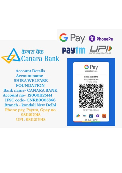 Donation QR Code